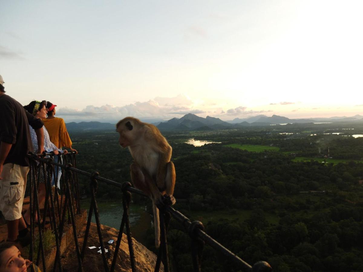 One More Night Hostel Sigiriya Bagian luar foto