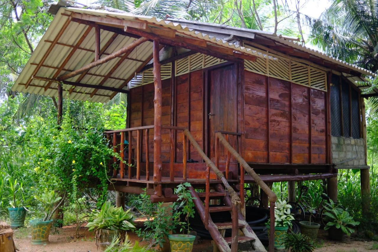 One More Night Hostel Sigiriya Bagian luar foto