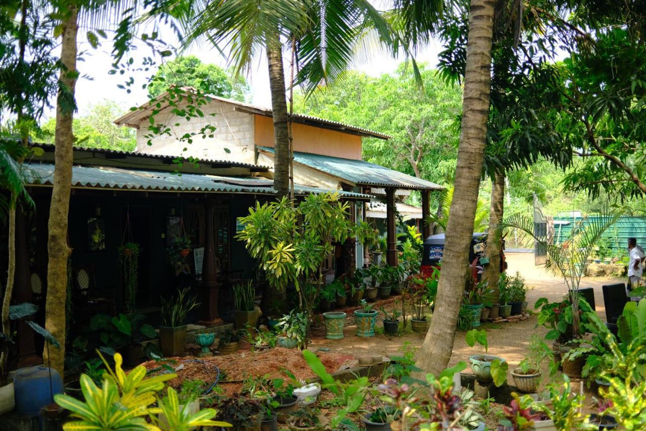 One More Night Hostel Sigiriya Bagian luar foto