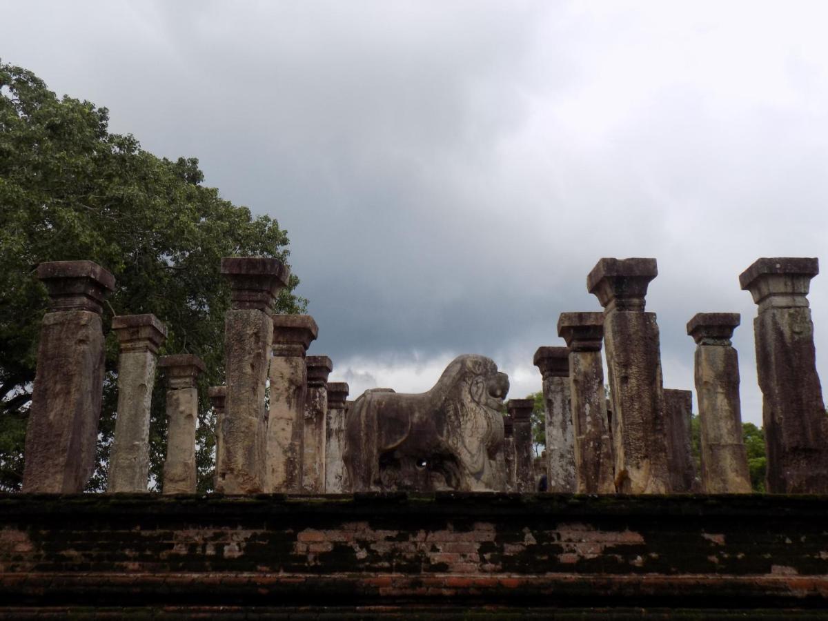 One More Night Hostel Sigiriya Bagian luar foto